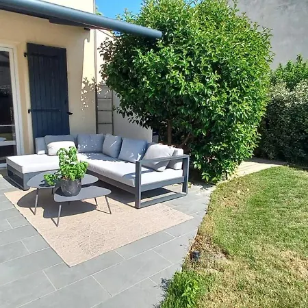 Des Oliviers Aigues-Vives (Gard)