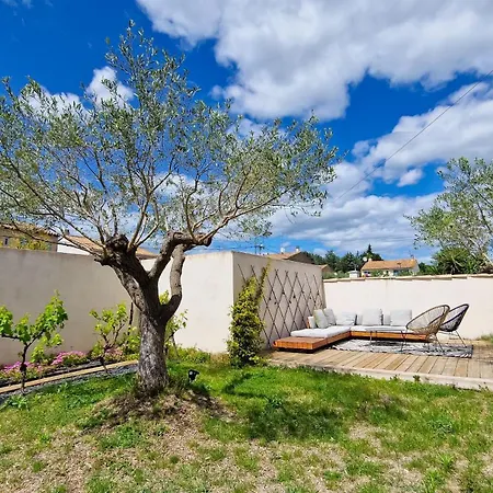 Des Oliviers Aigues-Vives (Gard)