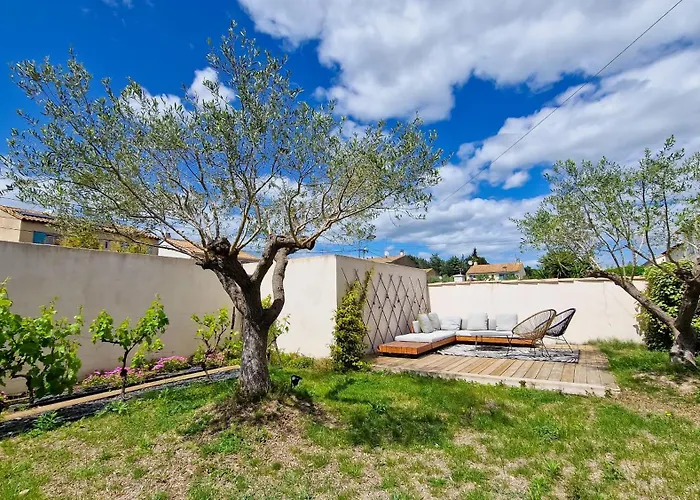 Des Oliviers Aigues-Vives (Gard)
